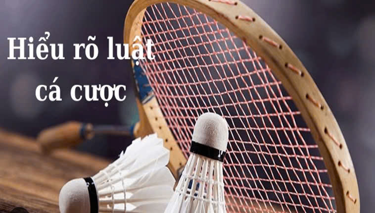 Cách Chơi Cá Cược Cầu Lông Tại DAGA Cho Người Mới Đơn Giản, Dễ Hiểu 2 Cách Chơi Cá Cược Cầu Lông Tại DAGA Cho Người Mới Đơn Giản, Dễ Hiểu